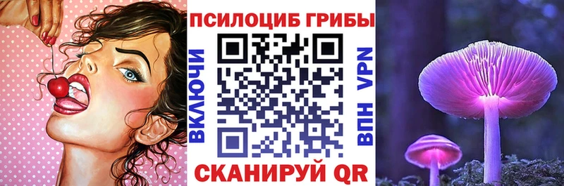 Псилоцибиновые грибы MAGIC MUSHROOMS Кондрово